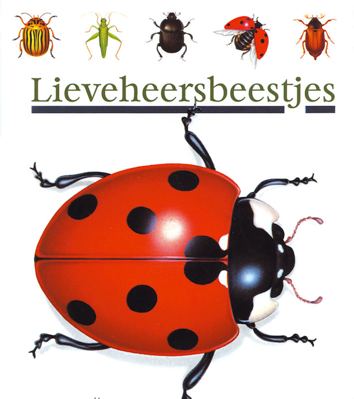 Lieveheersbeestjes / Mijn eerste ontdekkingen