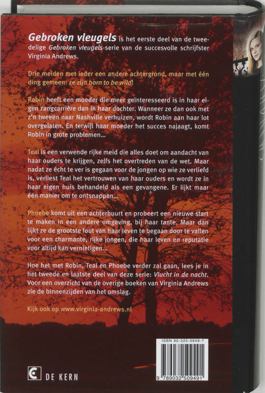 Gebroken vleugels / Gebroken vleugels / 1 Gebroken vleugels / Gebroken vleugels / 1 achterkant