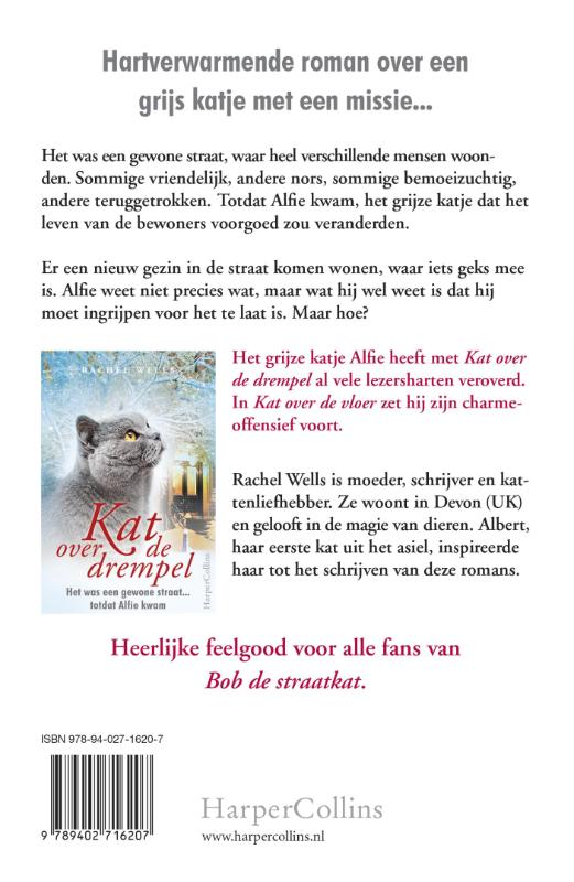 Kat over de vloer Kat over de vloer achterkant