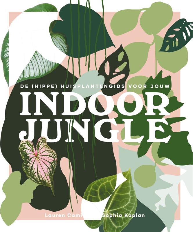 De (hippe) huisplantengids voor jouw indoor jungle