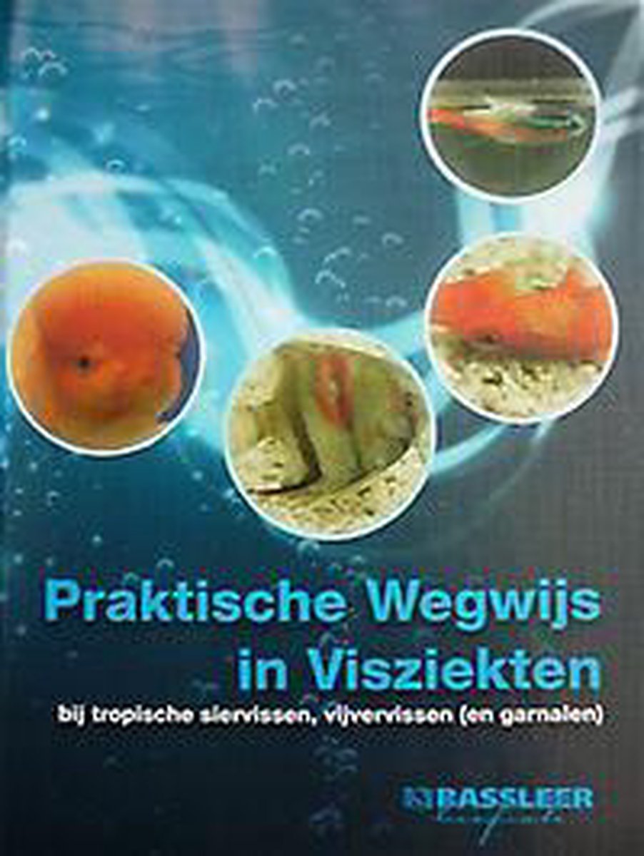 De Praktische Wegwijs in Visziekten