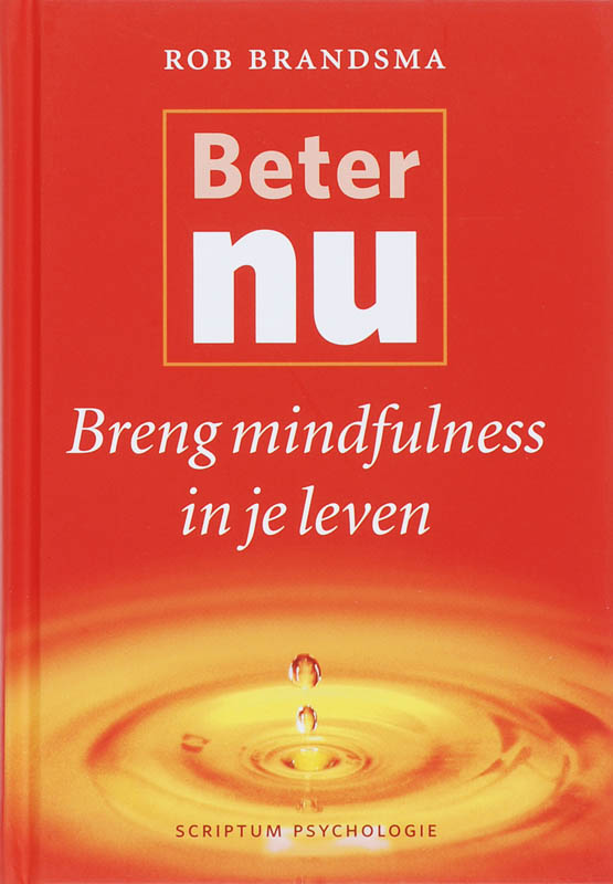 boekenbalie_9789055945580_cover Beter nu