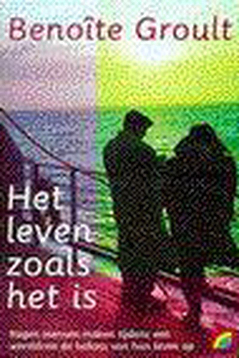 boekenbalie_9789041720023_cover Het leven zoals het is / Rainbow pocketboeken / 379