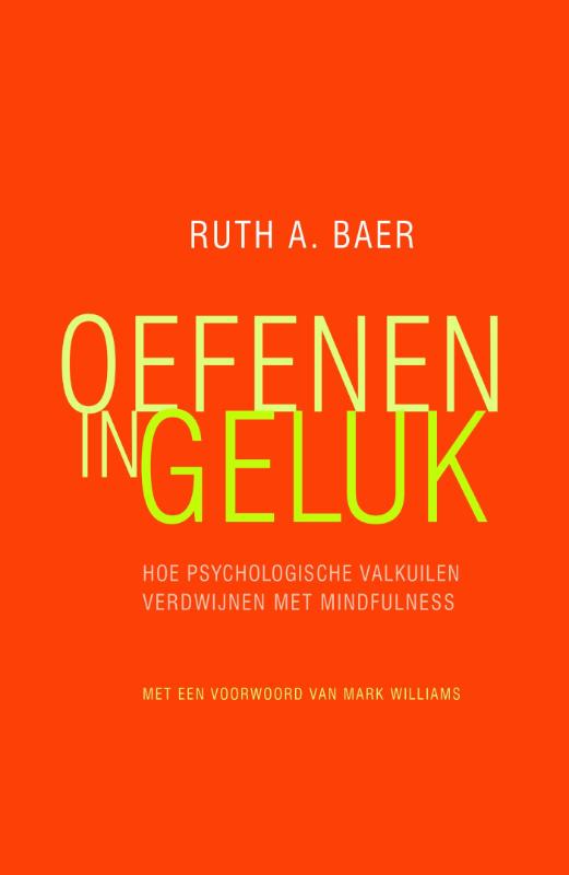 Ruth A. Baer Oefenen In Geluk thumbnail