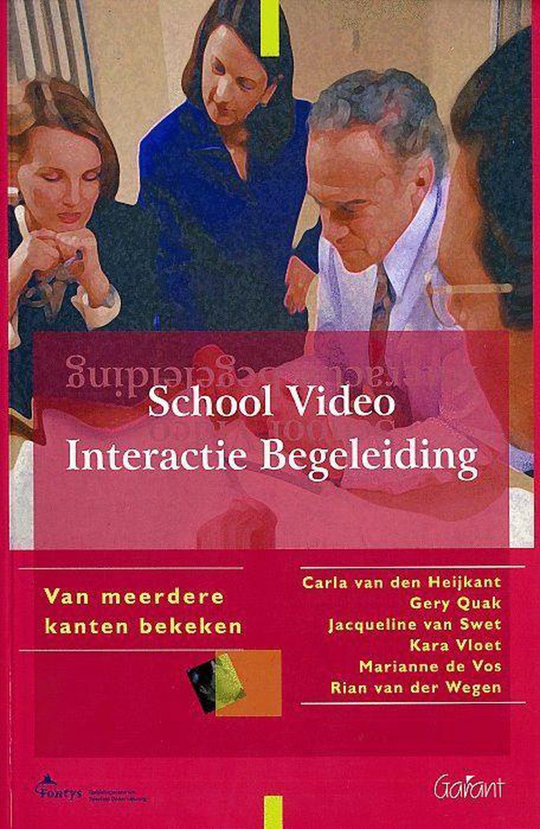 School video interactie begeleiding