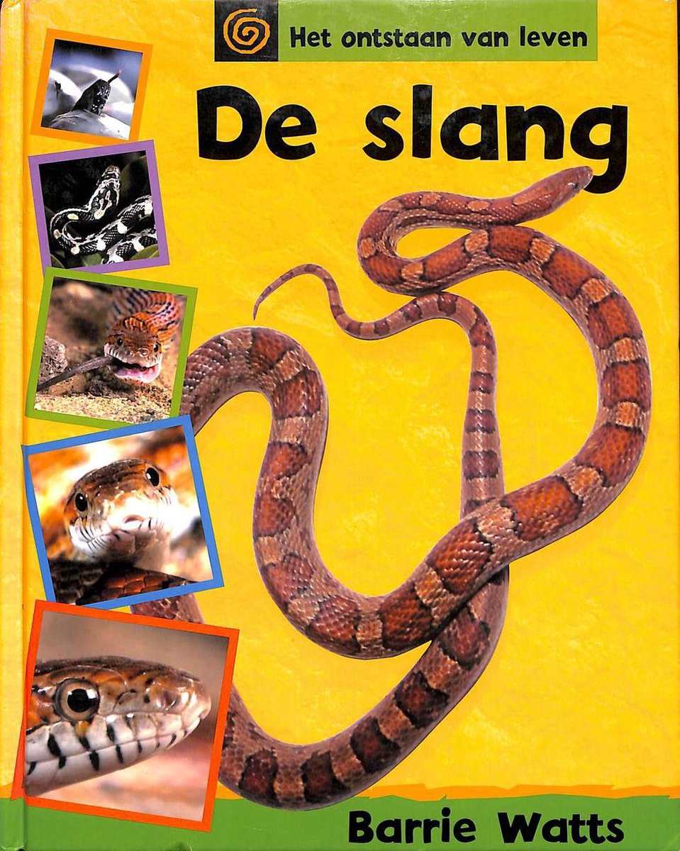 De Slang / Het ontstaan van leven