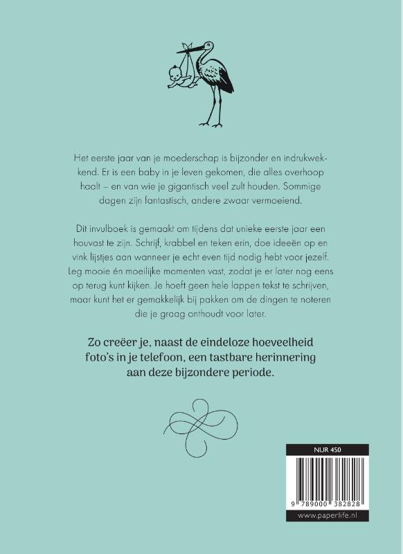 Mijn eerste jaar als moeder achterkant