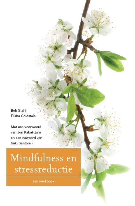 boekenbalie_9789057123184_cover Mindfulness en stressreductie