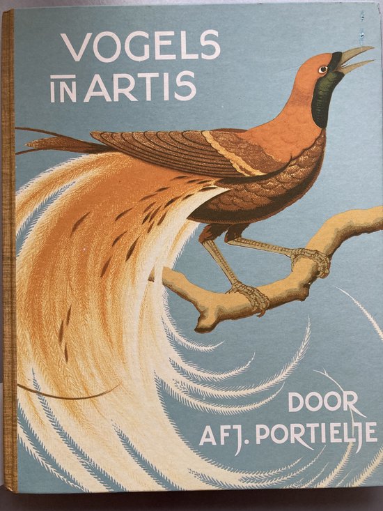 Portielje Vogels In Artis thumbnail