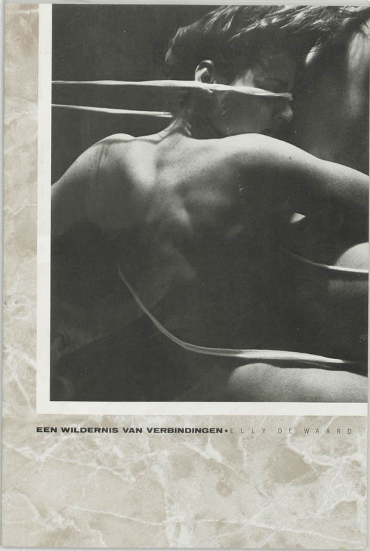 boekenbalie_9789061692812_cover Een Wildernis Van Verbindingen