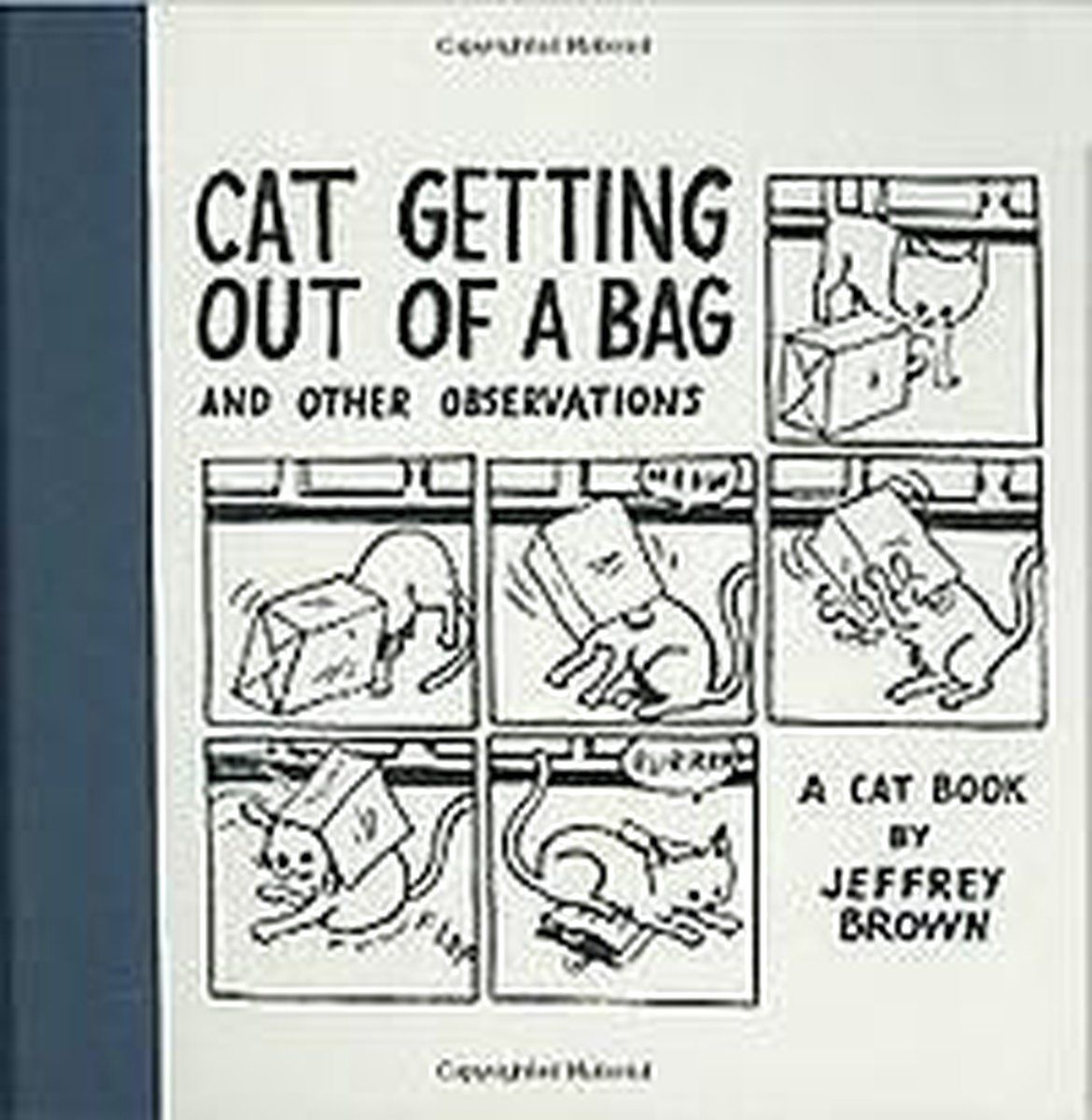 Cat Getting Out Of A Bag And Other Observations