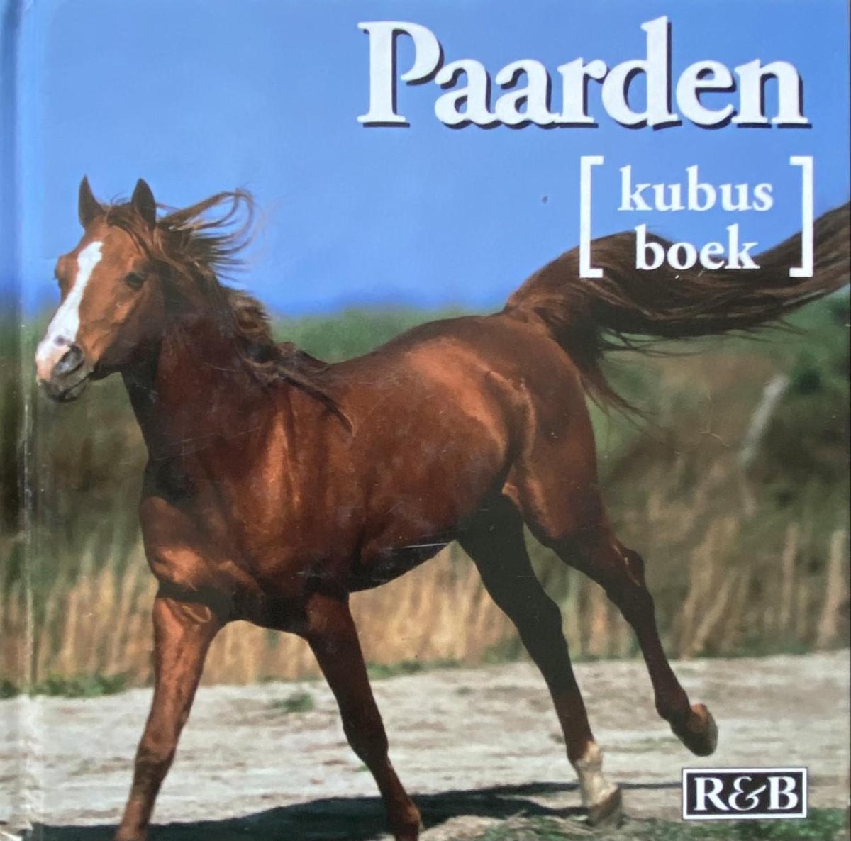boekenbalie_9789039621578_cover Paarden - 1001 Fotoboek