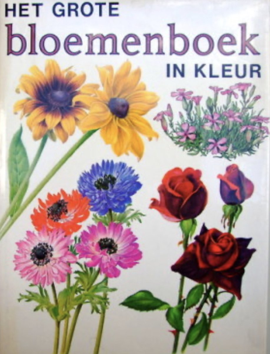 GROTE BLOEMENBOEK IN KLEUR