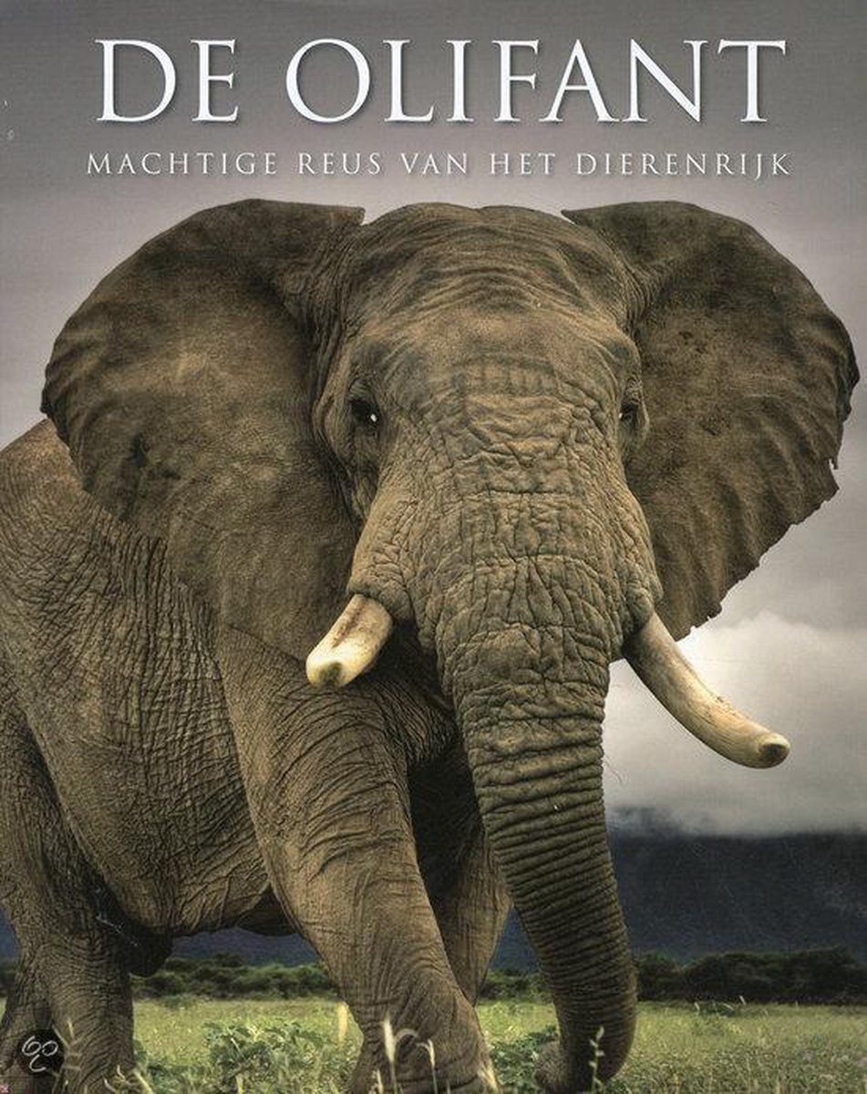 boekenbalie_9781407574165_cover DE OLIFANT MACHTIGE REUS VAN HET DIERENRIJK