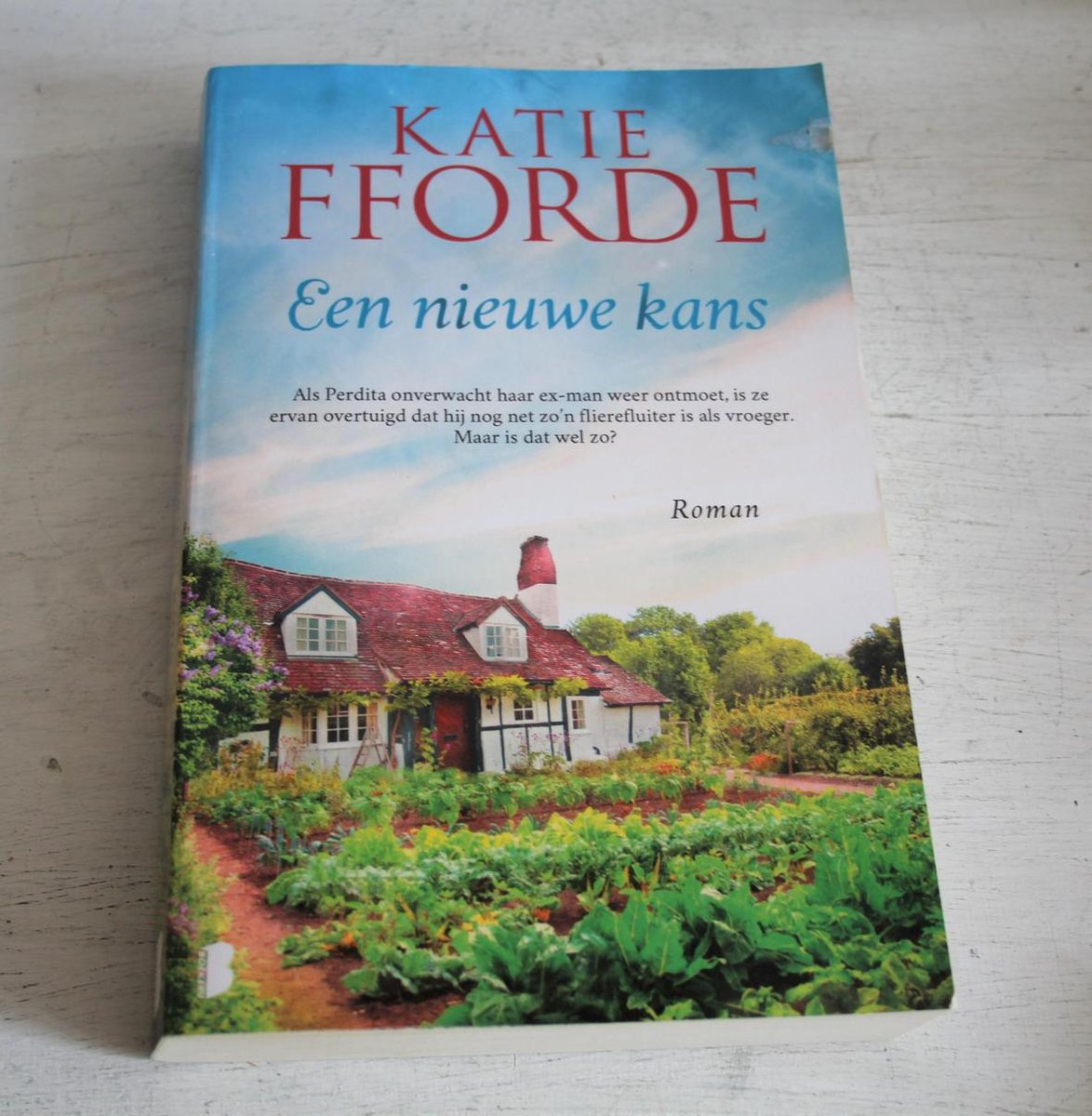 boekenbalie_9789022591369_cover Katie Fforbe - Een nieuwe kans