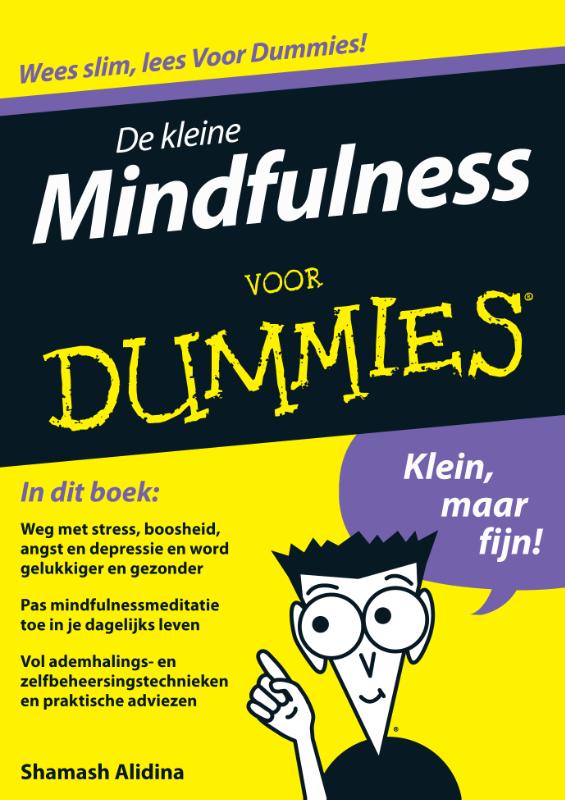 De kleine Mindfulness voor dummies / Voor Dummies
