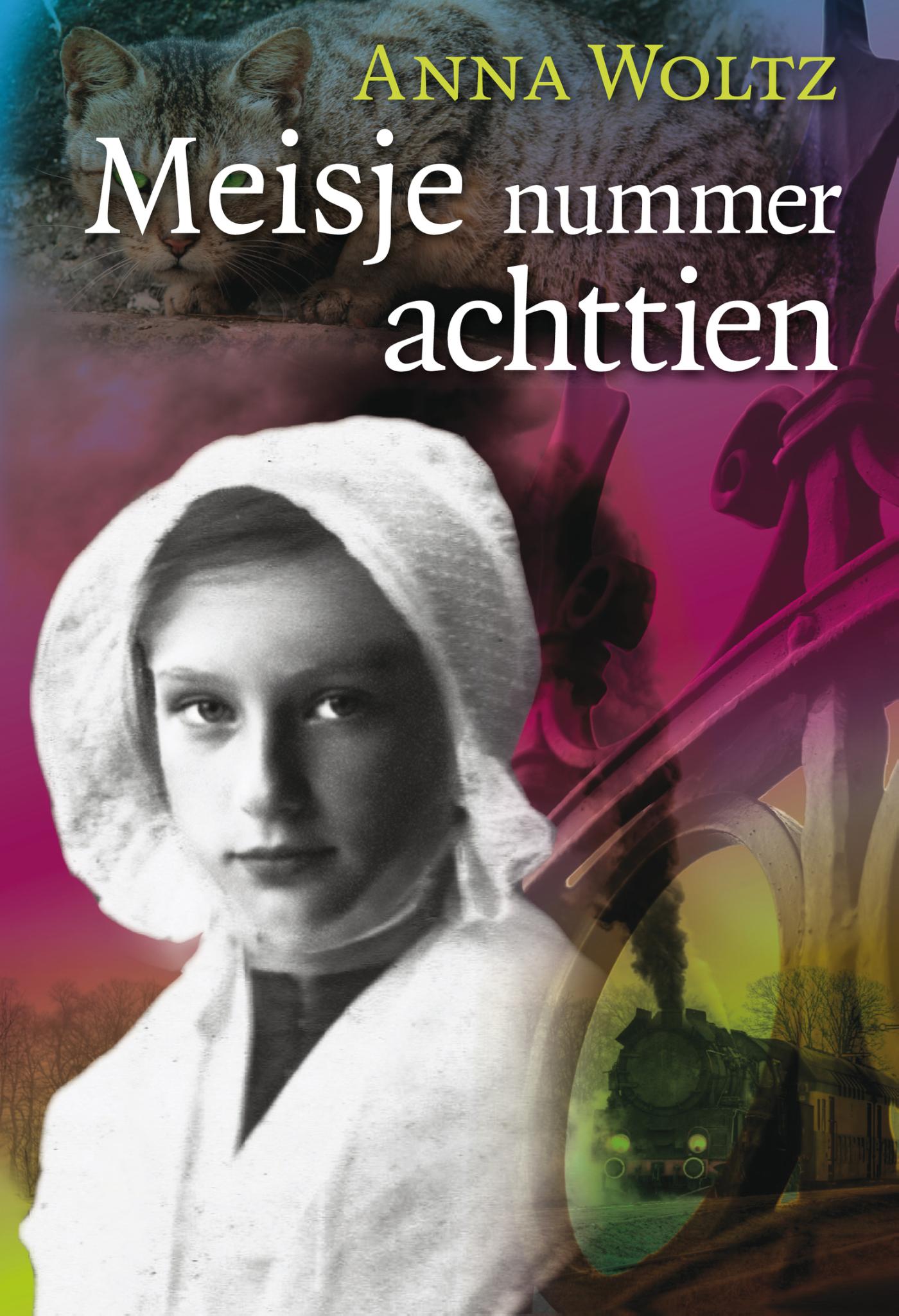 Anna Woltz Meisje Nummer Achttien thumbnail