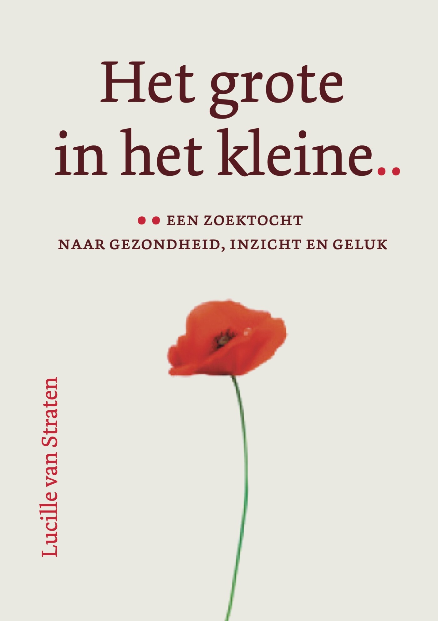 Het grote in het kleine