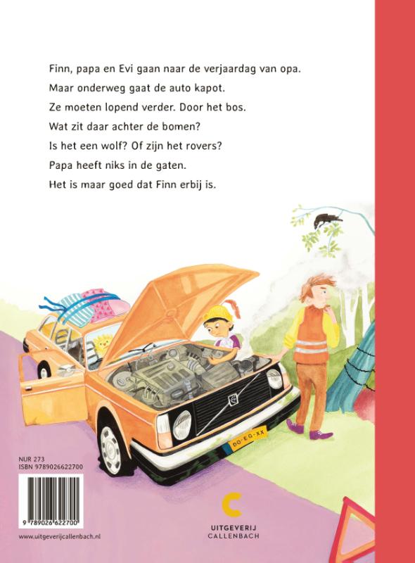 Niks aan de hand achterkant