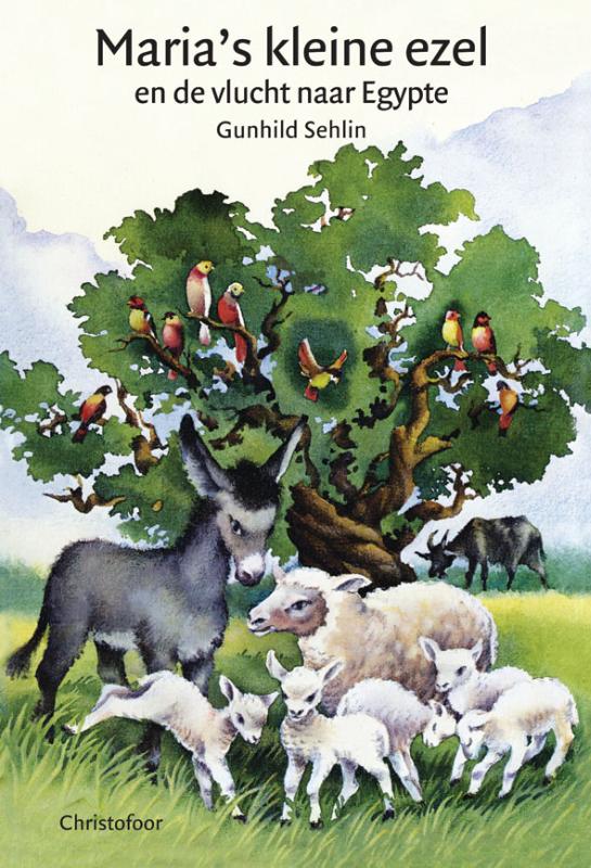 boekenbalie_9789062382125_cover Maria's kleine ezel en de vlucht naar Egypte