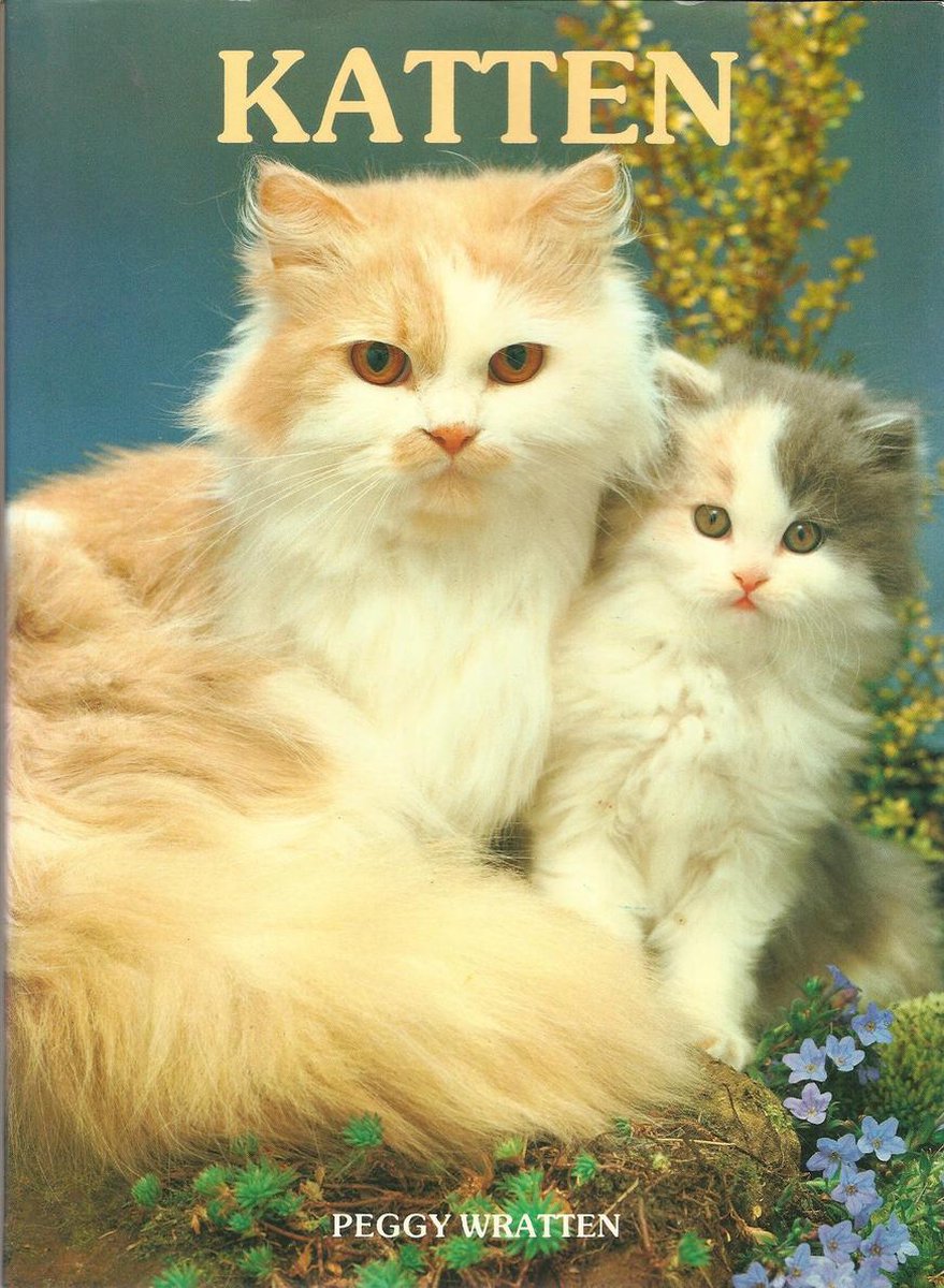 Katten