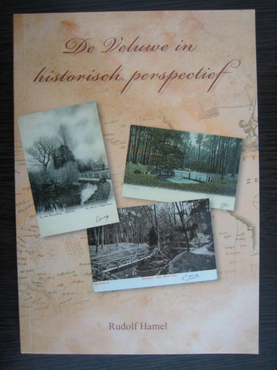 Veluwe in historisch perspectief / Regio-Boek