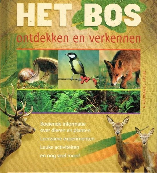 Het bos ontdekken en verkennen