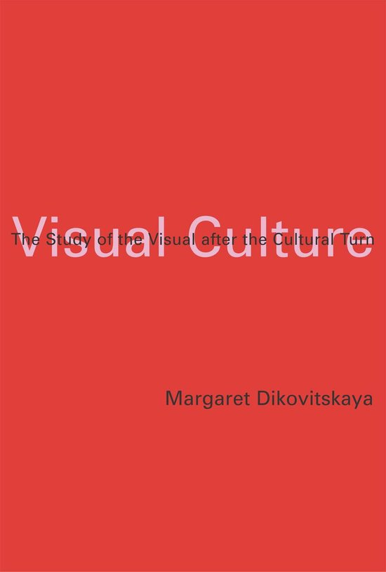 Visual Culture