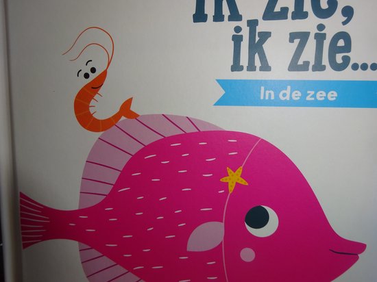 Ik Zie, Ik Zie...