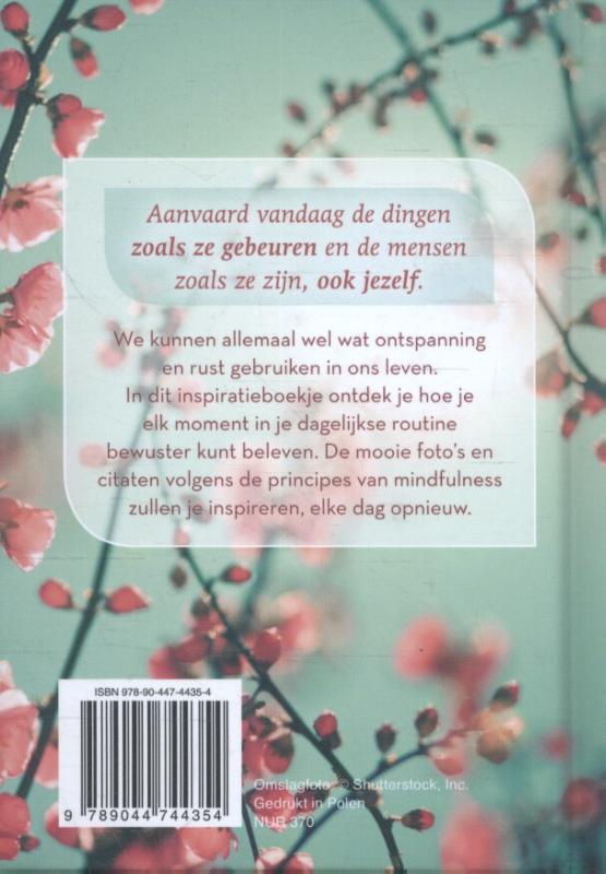 Mindful op elk moment Mindful op elk moment achterkant