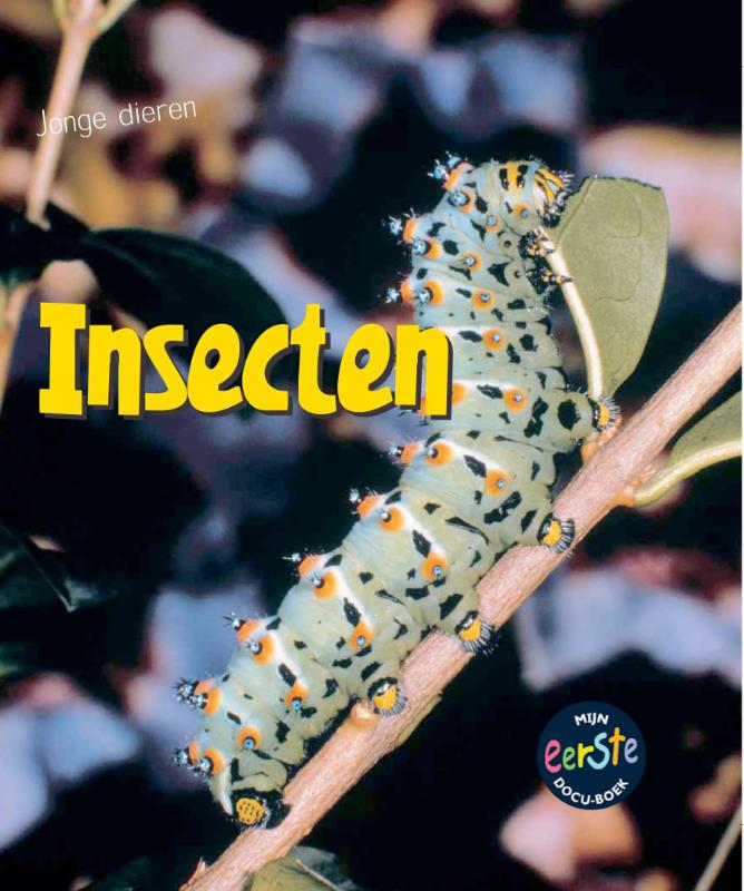 Insecten / Jonge dieren