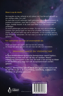 Golven in de Sterrennacht achterkant