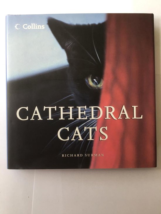 Cathedral Cats