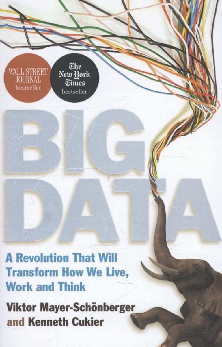 Viktor Mayer-Schönberger Big Data