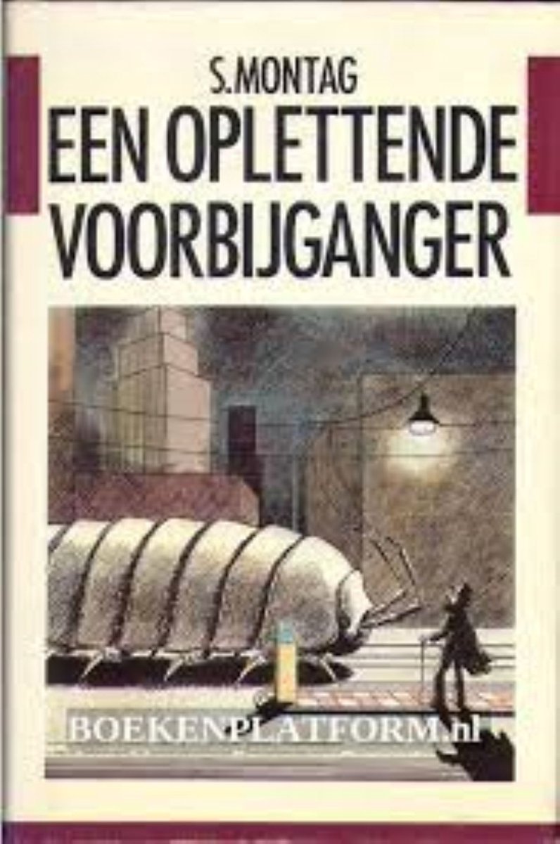 Oplettende voorbyganger