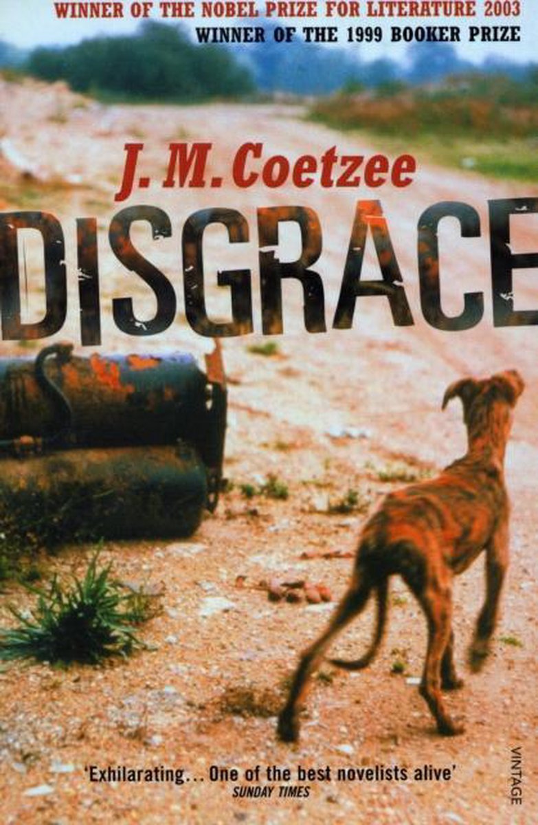 Arrow Books Disgrace boek Engels Paperback 224 pagina's