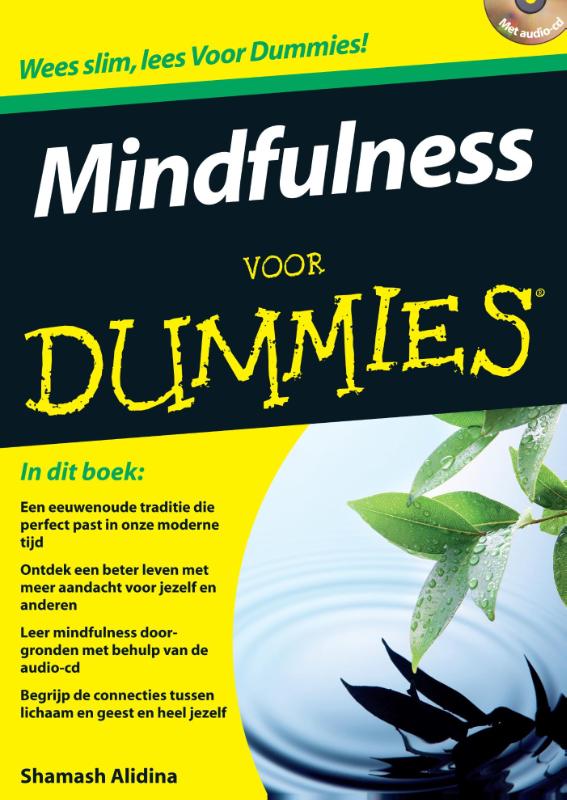 Mindfulness voor Dummies / Voor Dummies