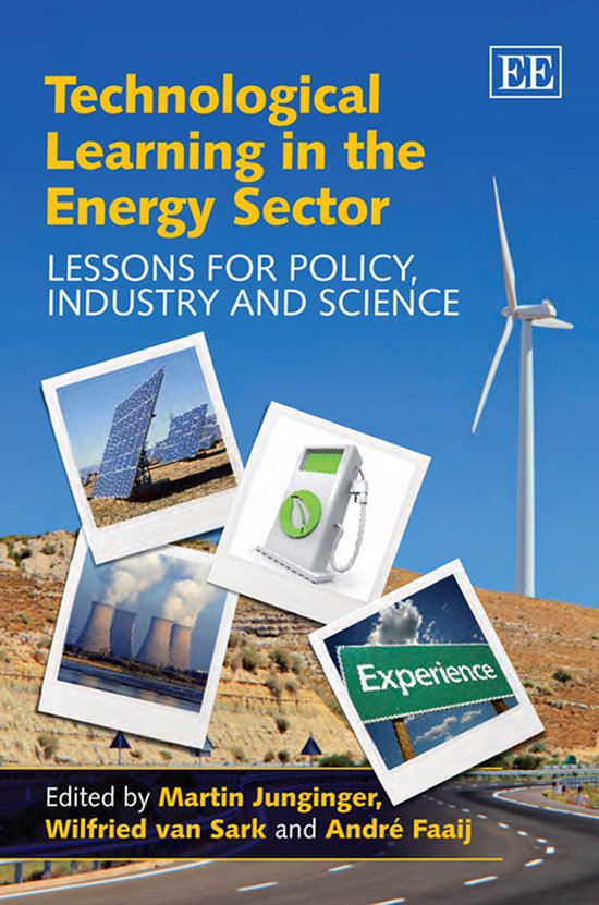 Technological Learning in the Energy Sector