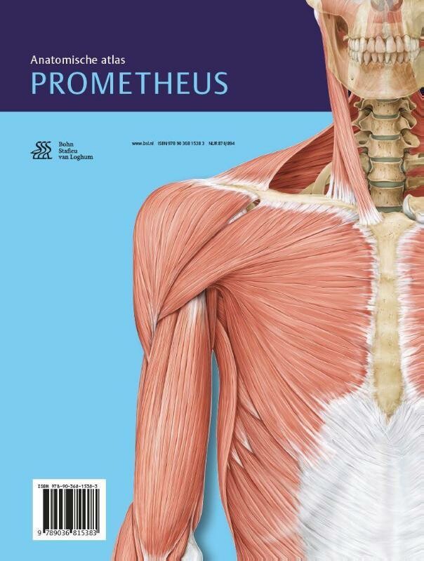 Algemene anatomie en bewegingsapparaat / Prometheus anatomische atlas / 1 achterkant