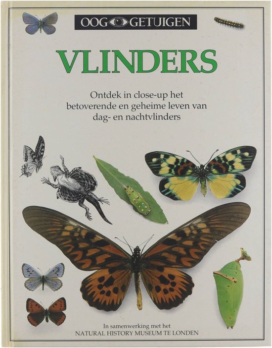 Vlinders / Ooggetuigen