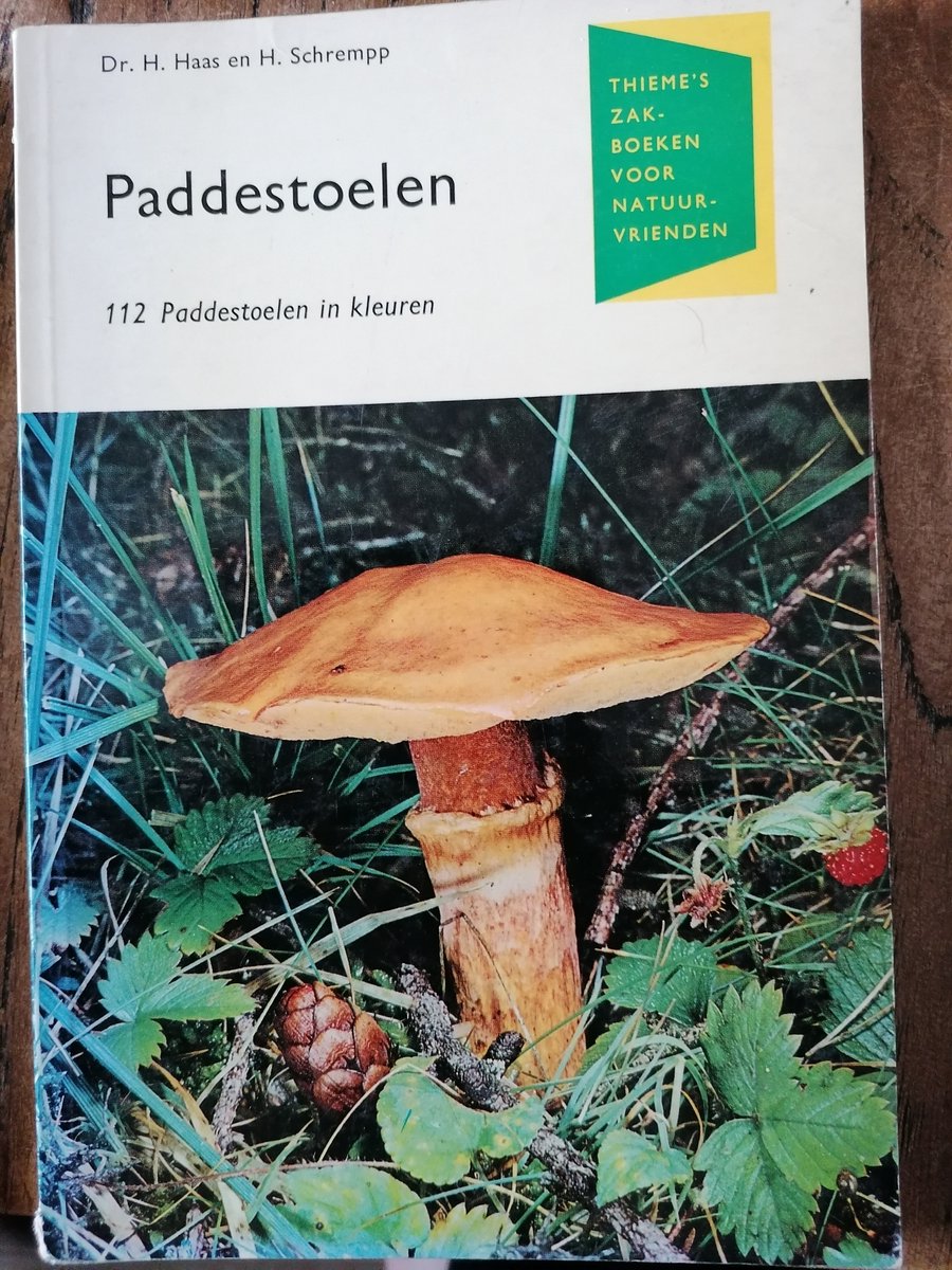 Paddestoelen