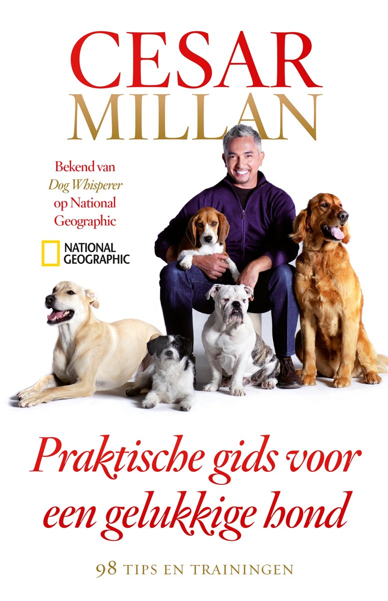 Praktische gids voor een gelukkige hond