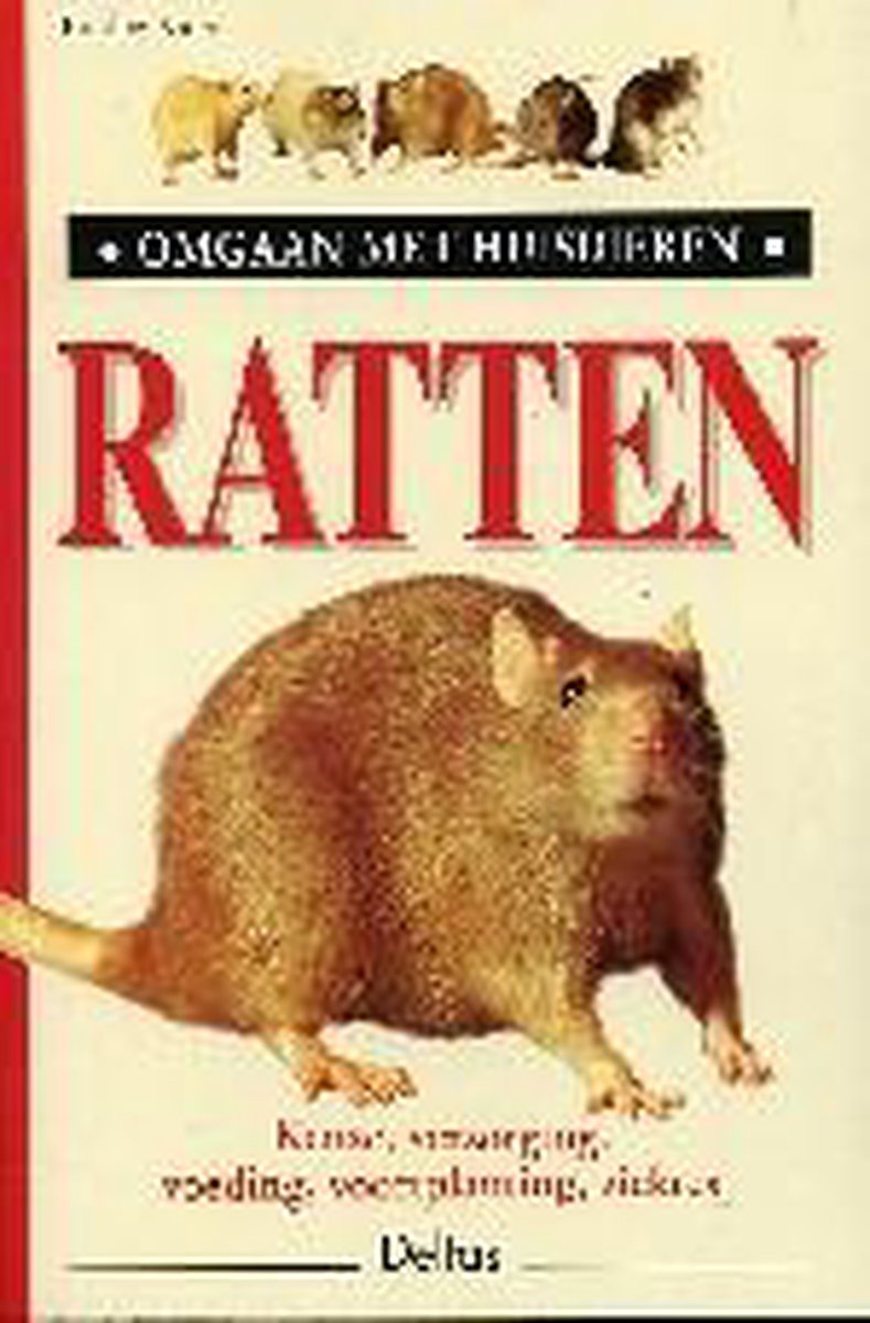 Ratten Omgaan Met Huisdieren