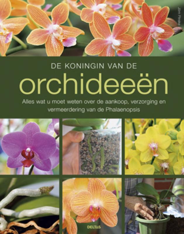 Jorn Pinske De Koningin Van De Orchideeën