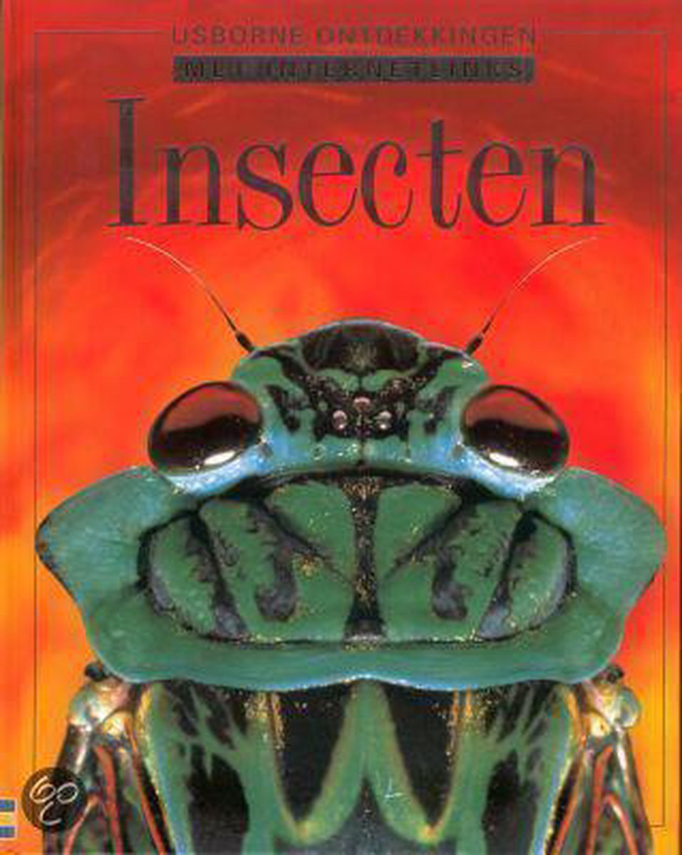 Insecten / Usborne ontdekkingen met internetlinks