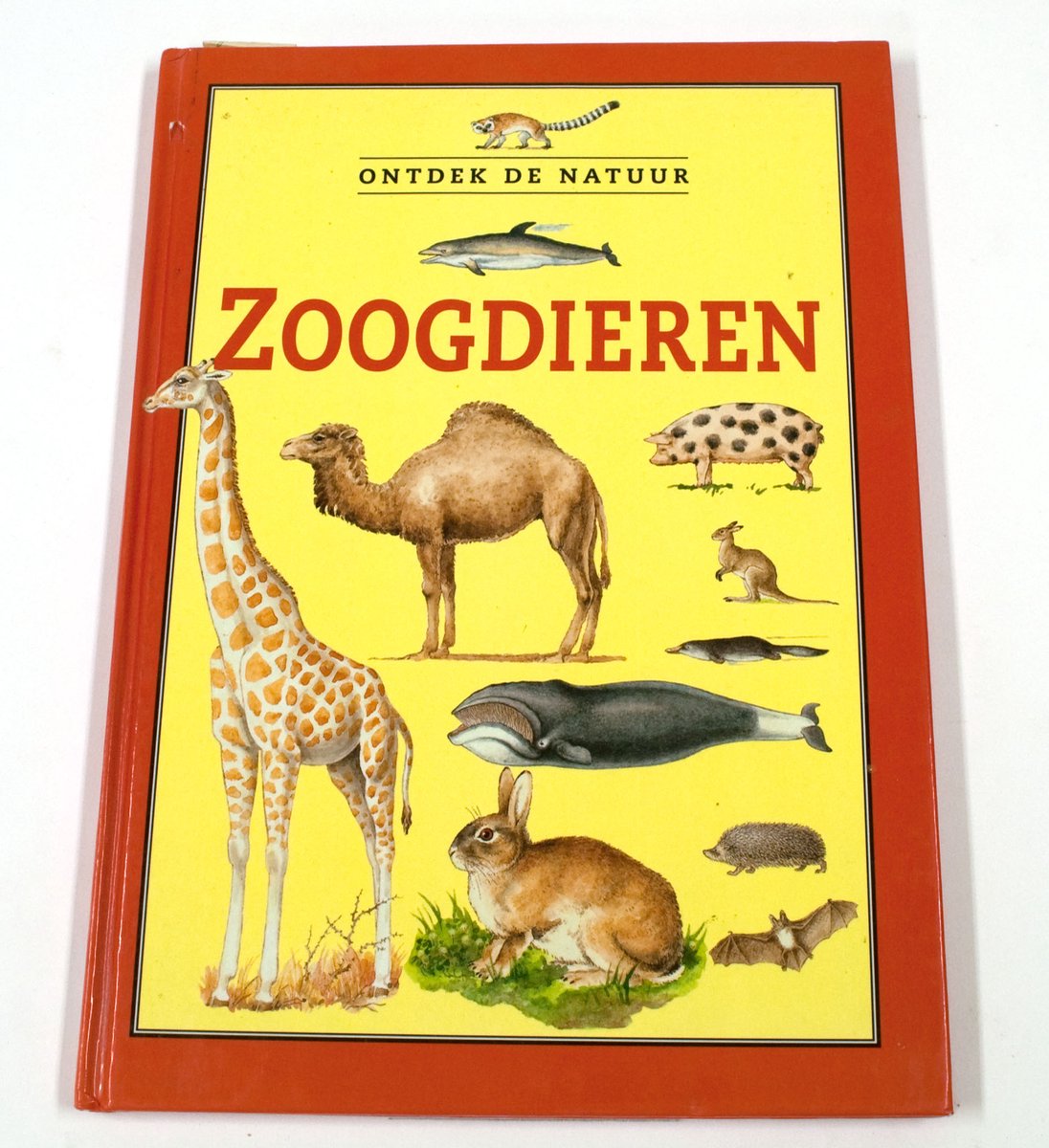 ONTDEK DE NATUUR. ZOOGDIEREN
