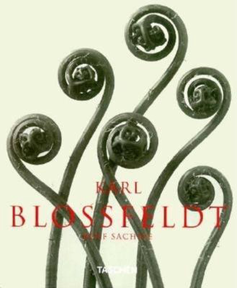 boekenbalie_9783822883136_cover BLOSSFELDT ALBUM PAP
