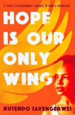 boekenbalie_9781471406867_cover Hope is our Only Wing