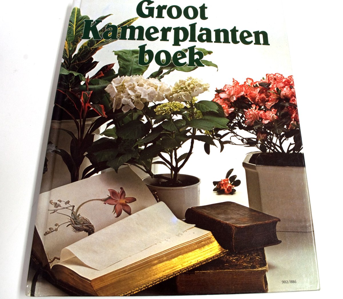 Het groot kamerplantenboek