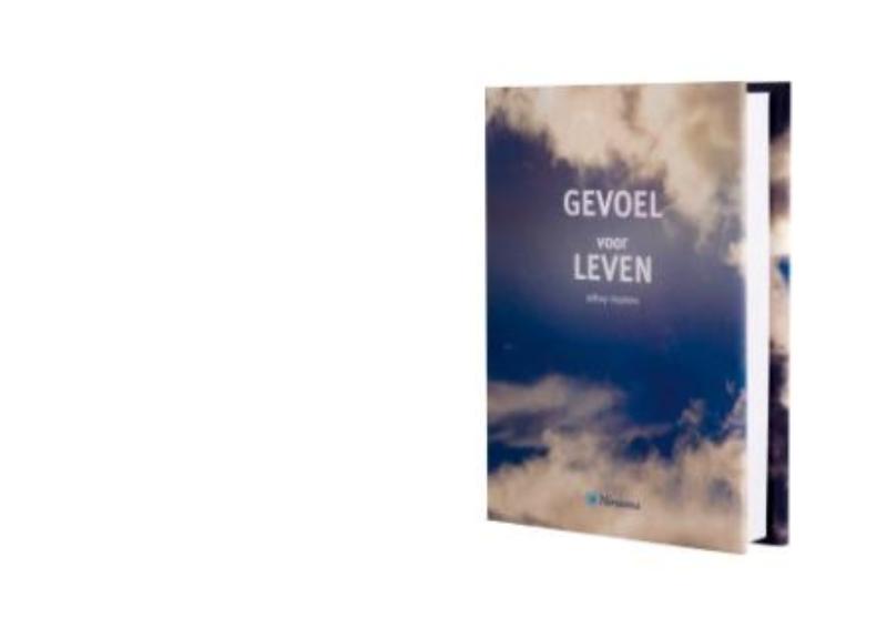 boekenbalie_9789045308654_cover Nirwana Plus / Gevoel voor leven / Nirwana Plus